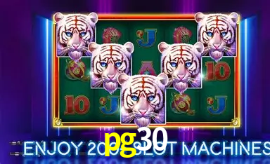 APP oficial da pg30 para mobile